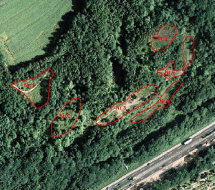 Luftbild der Untersuchungsflächen im NSG "Am Ebberg"